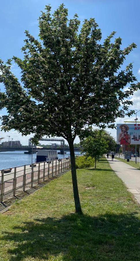 Hotel apartamentowy Floating - Odra Dream